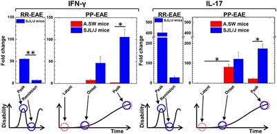 Bioinformatics Analyses Determined the Distinct CNS and Peripheral Surrogate Biomarker Candidates Between Two Mouse Models for Progressive Multiple Sclerosis